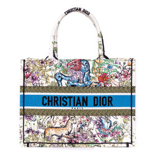 Dior Rare Ltd. Ed. Constellation Embroidered Book Tote 36